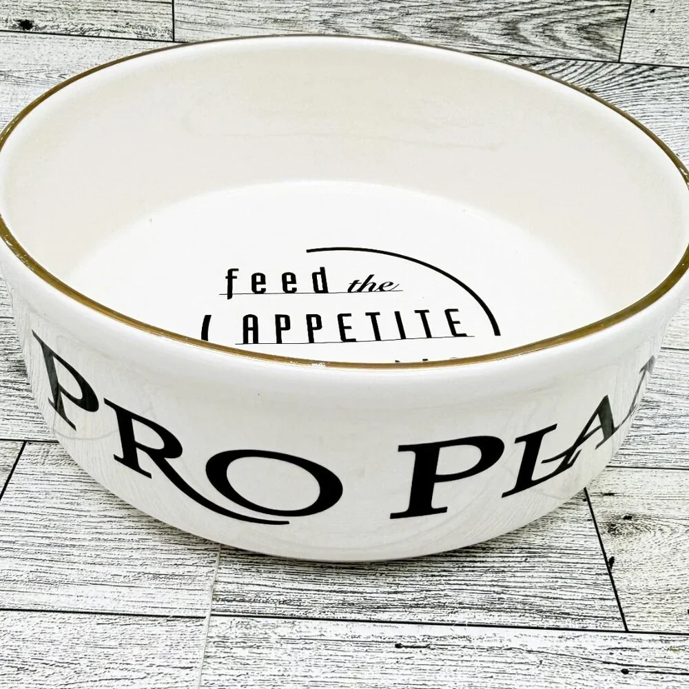 Pfaltzgraff Pro Plan Gold Trimmed Pet Dog Food Bowl